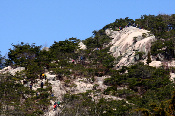 봄을 맞아 산행객들이 용봉산을 오르고 있다.