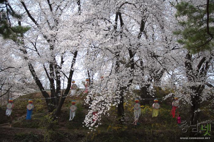 벚꽃과함께하는2013국고개역사문화축제 3