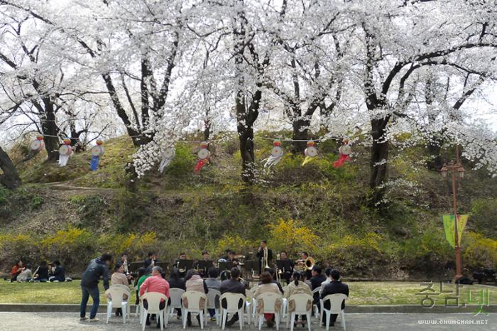 벚꽃과함께하는2013국고개역사문화축제 13