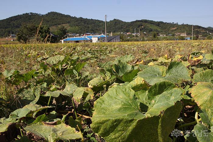 친환경 생명농업으로 '3농혁신'