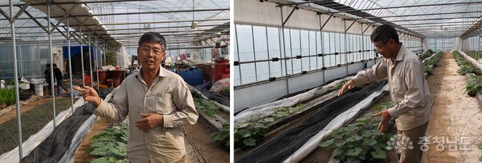 사진 한아름채소밭농원 최근학씨 만차린 단호박 육묘 재배과정 설명하는 모습