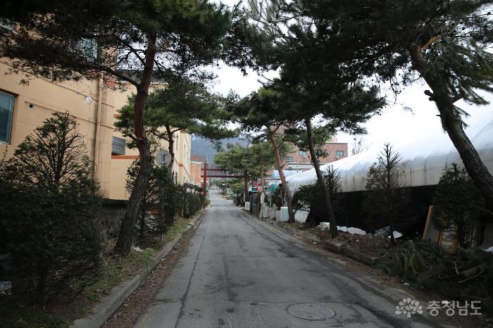 신창초등학교로 들어가는 홍살문