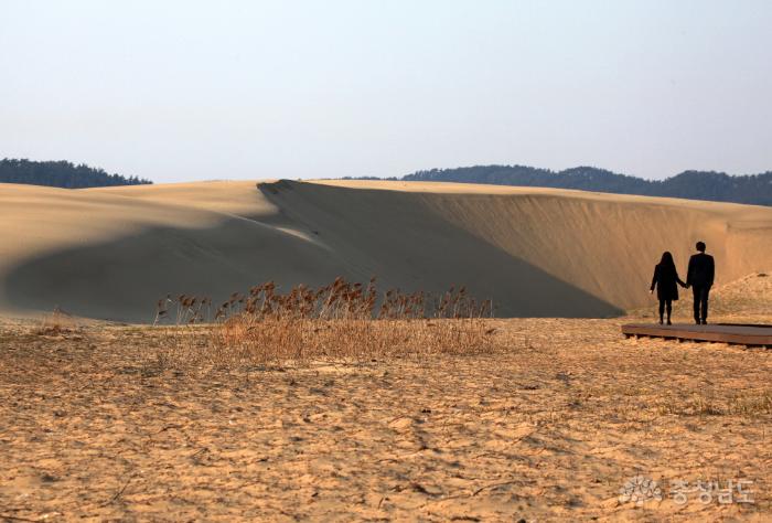 바람이 만든 거대한 모래언덕