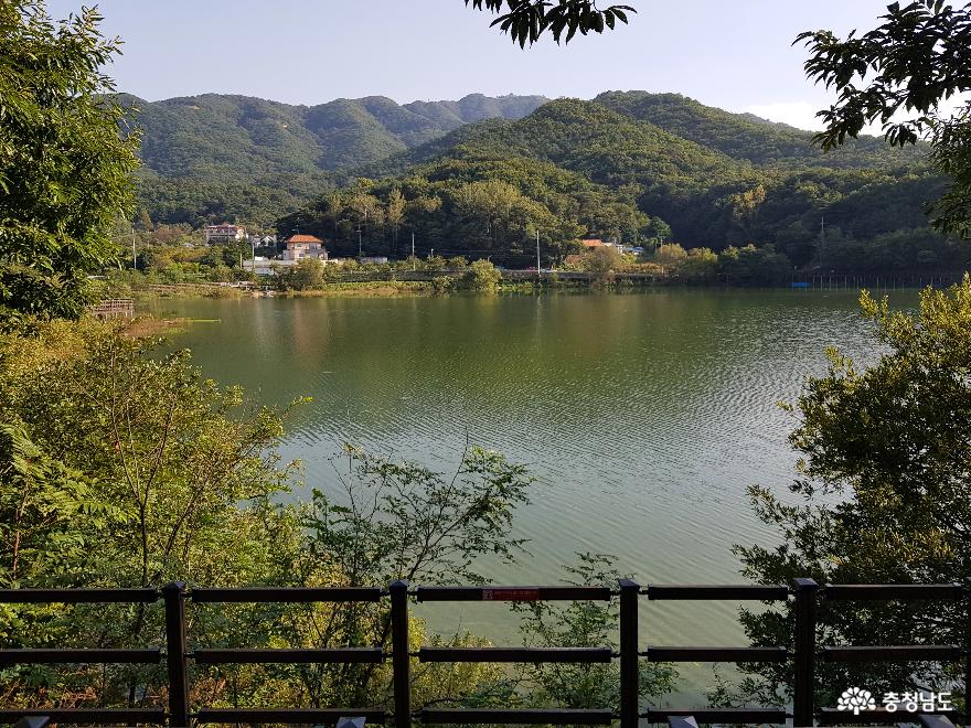 가을날 산책하기 좋은 곳, 천흥저수지 & 천흥리 마을