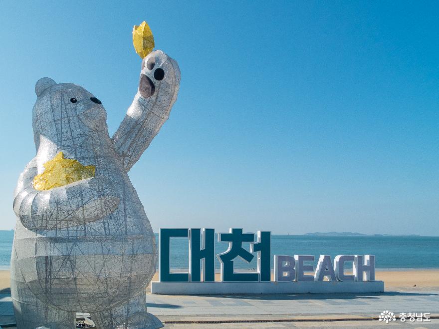 서울에서 대천해수욕장까지 겨울바다를 보러 갔습니다.