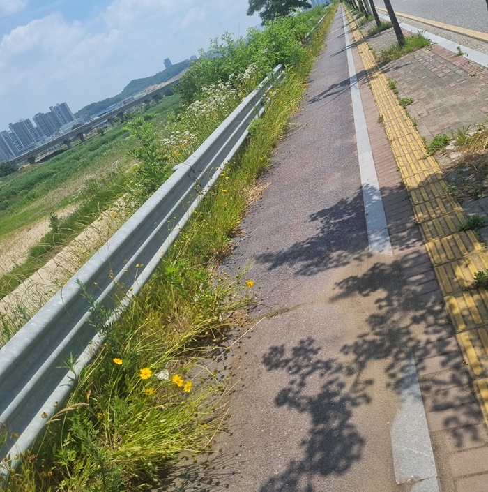 ‘자전거도로’ 점령한 잡초들…아산시, “예초작업 하고 있지만 인력적 한계 절감"